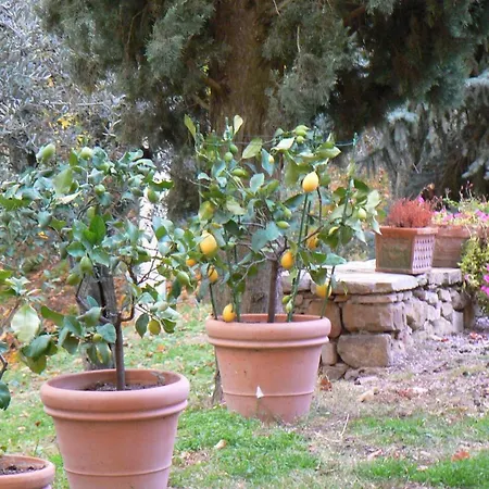 2 Bedrooms With Shared Pool And Wifi At *